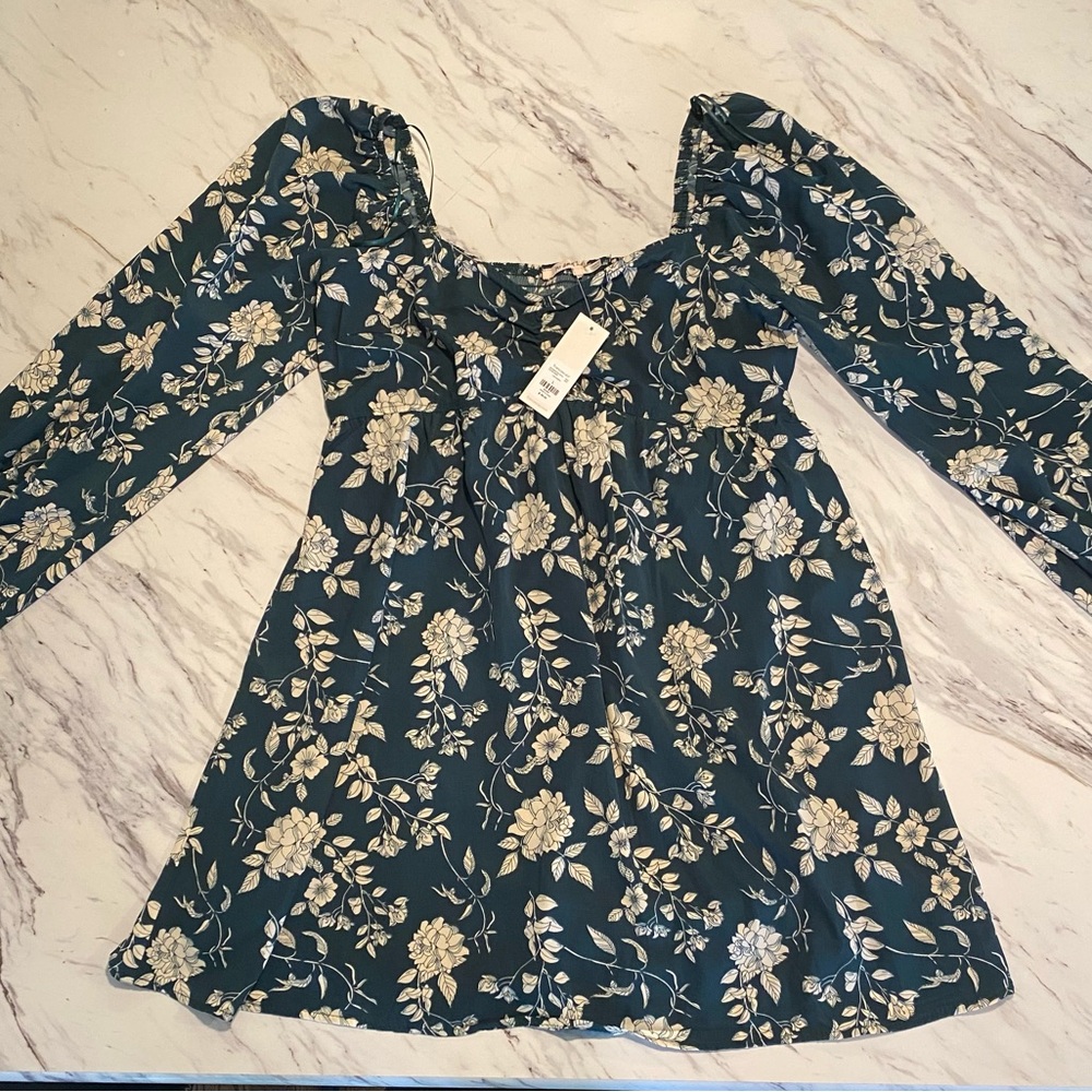 Francesca's Dress